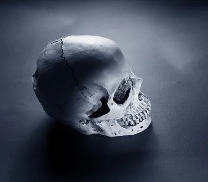Analyzing of a human skull Stock Photos