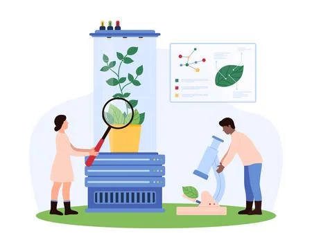 Analyzing Plant Samples in a Naturopathy Lab concept Stock Illustration