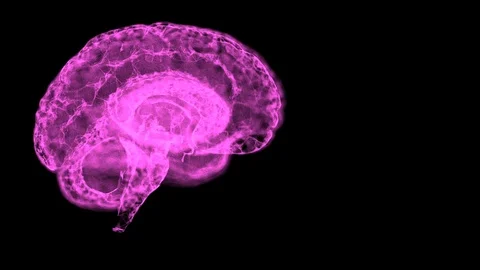 Analyzing of right and left hemispheres of a human brain rotating on dark Stock Footage 121814214