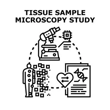 Analyzing tissue sample for medical research study Stock Illustration