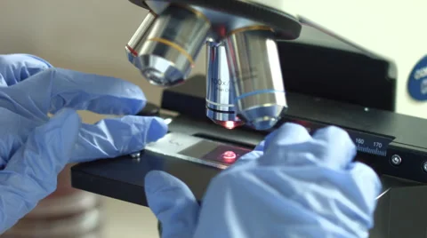 Analyzing under microscope in microbiology lab 動画素材 51980729