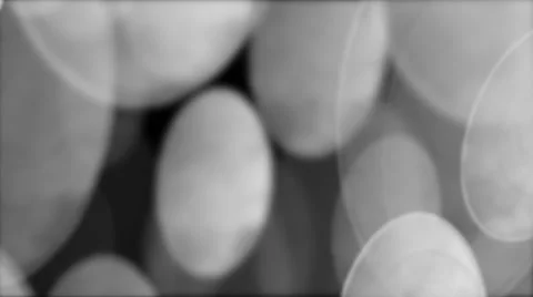 Anamorphic Bokeh #7 - White Stock Footage 65317304