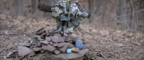 Anamorphic Cross Shrine In The Woods Stock Footage 231002260