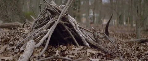 Anamorphic Den Low Angle Medium Shot 스톡 동영상 201266772