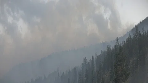 Anamorphic Forest Fire Smoke in the Sky on a Mountain Stock Footage 93063746