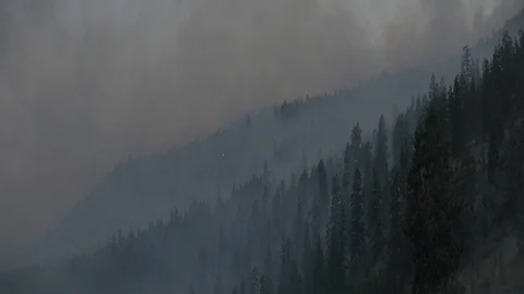 Anamorphic Moody Forest Fire Smoke Over Mountains Stock Footage 93064548