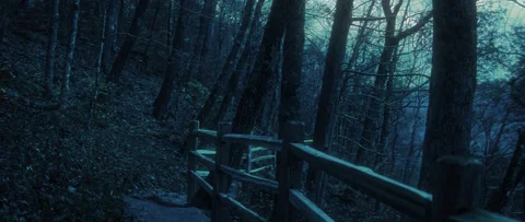 Anamorphic Night Shot of Split Rail Fence &amp; Mountain Trail on a Moonlit Evening Stock Footage 165374980