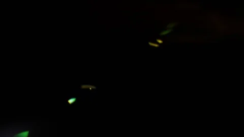 Anamorphic Optical Lens Flare Leaks Stock Footage 112651336