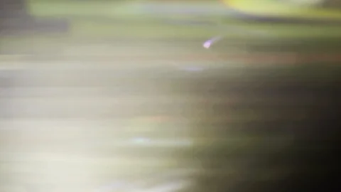 Anamorphic Optical Lens Flare Leaks Stock Footage 112652693