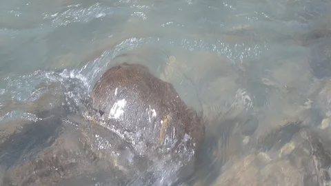 Anamorphic River Water Flowing Over Rock Stock Footage 93062669