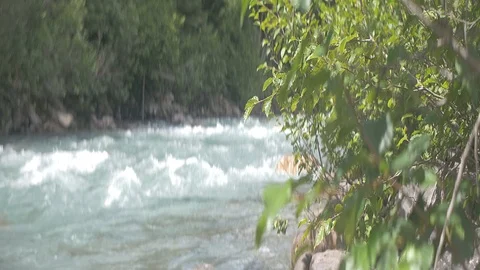 Anamorphic River Whitewater Rapids with Leaves in the Foreground Stock Footage 93063186