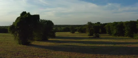 Anamorphic Rural Pasture Drone Sunset Stock Footage 268773605