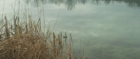 Anamorphic scene of lakeside by cold weather 5.7K video Stock Footage 302432780