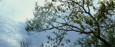 Anamorphic shot of clouds timelapse Stock Footage 107355655