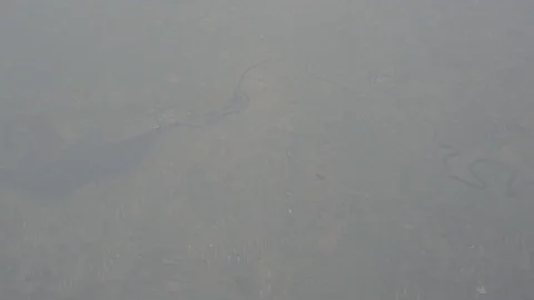 Anamorphic shot view from above sky river blood flow going through land 4 Stock Footage 118883022