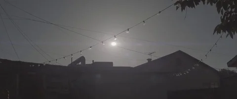 Anamorphic Slow Motion Backyard Morning Sun Alexa Log Shot Stock Footage 80787065