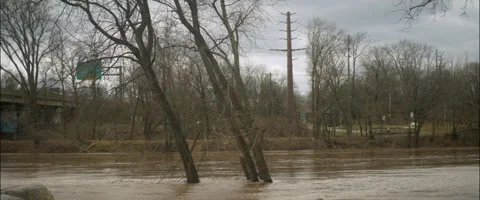 Anamorphic Trees In A Flooded River Stock Footage 249617742