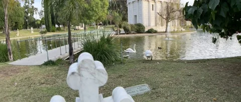 Anamorphic view of  Hollywood Forever Cemetery-Garden of Legends-Swans Stock Footage 147331902