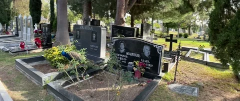 Anamorphic view of Peacock and Graves Stock Footage 147292130