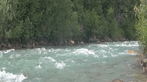 Anamorphic Whitewater Rapids in Mountain Forest Stock Footage 93063151