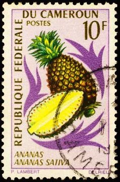 Ananas fruit on postage stamp Stock Photos
