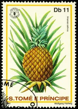 Ananas fruit on postage stamp Stock Photos