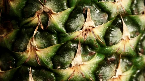 Ananas fruit texture. Pineapple skin background Stock Footage 119443676