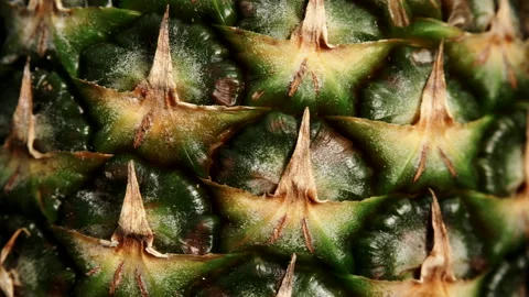 Ananas fruit texture. Pineapple skin background Stock Footage 119450268