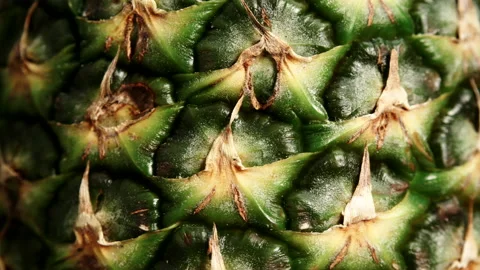 Ananas fruit texture. Pineapple skin background Stock Footage 119450814