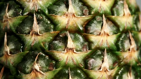 Ananas fruit texture. Pineapple skin background Stock Footage 119451257