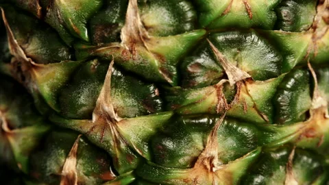 Ananas fruit texture. Pineapple skin background Stock Footage 119451656