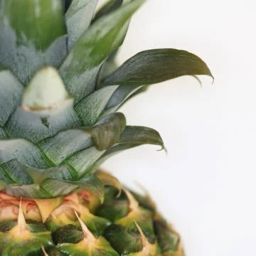 Ananas geteilt Stock Photos