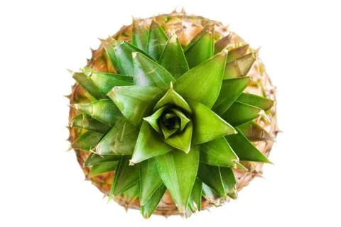 Ananas Stock Photos