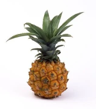 Ananas Stock Photos