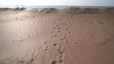 Anapa sandy beach after cleaning from fuel oil condition of the sand Stock Footage 311041148