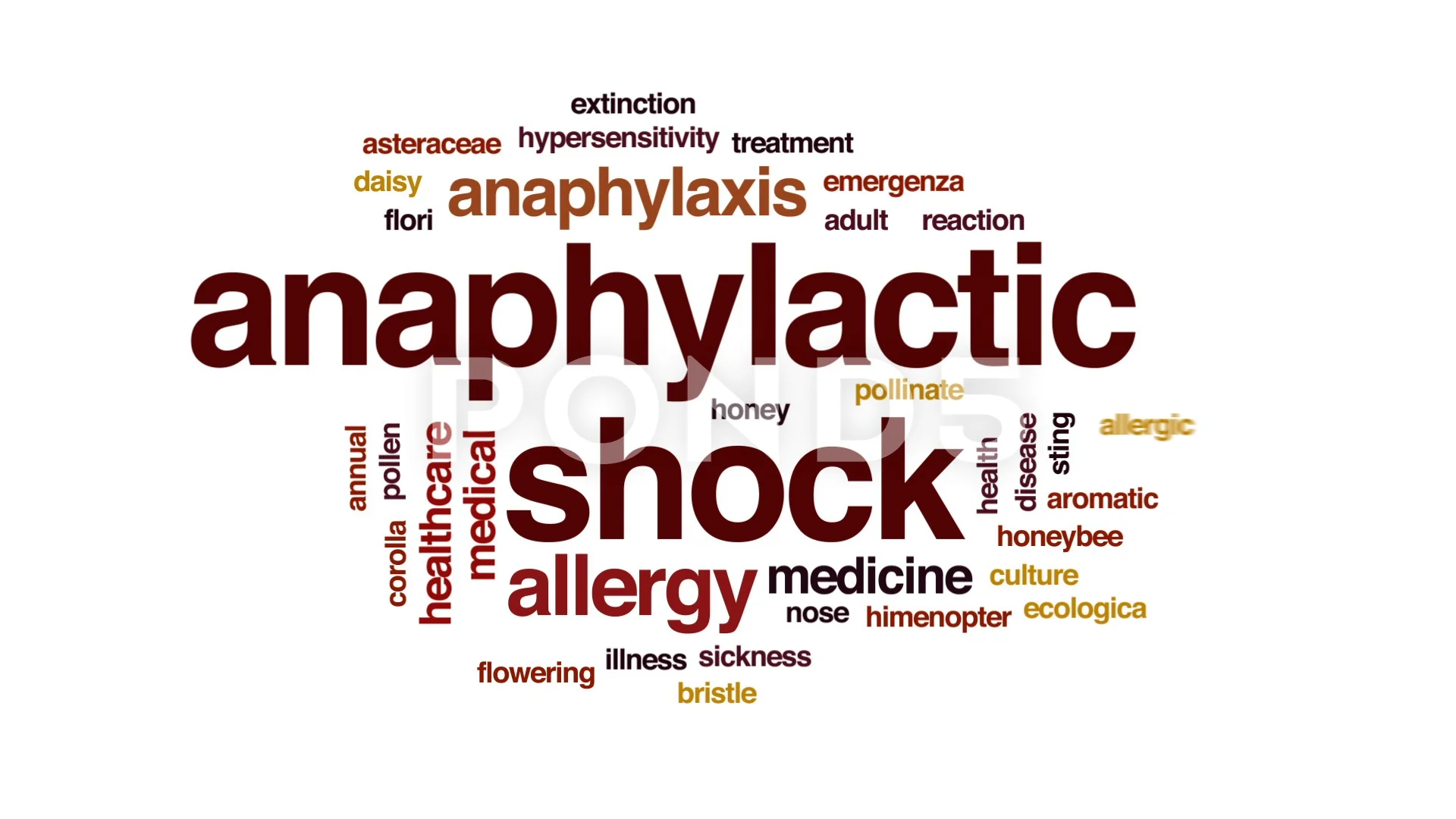 Anaphylactic shock animated word cloud, ... | Stock Video | Pond5