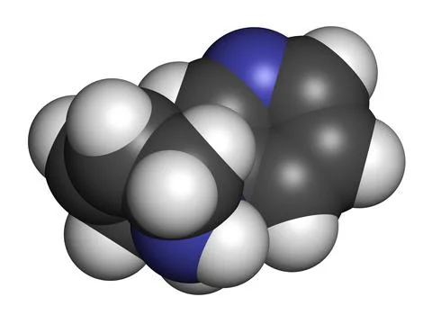 Anatabine alkaloid molecule. 3D rendering. Stock Illustration