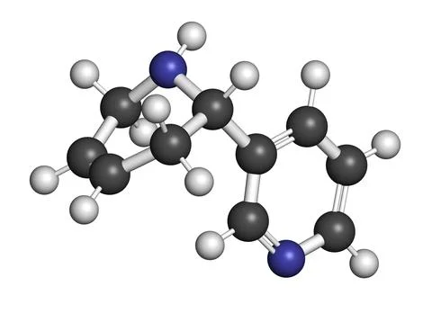 Anatabine alkaloid molecule. 3D rendering. Stock Illustration