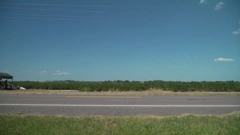 ANaTest Stock Footage 254195850