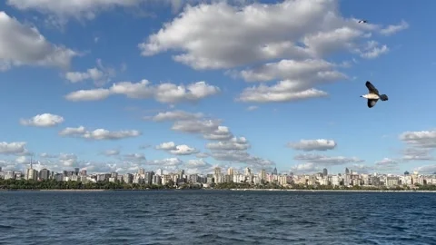 Anatolian side view Stock Footage 250167099