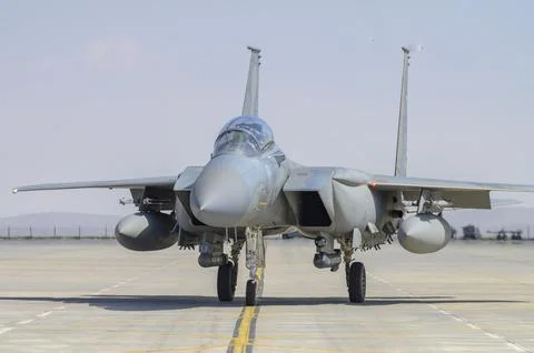 AnatolianEagle2025 Stock Photos
