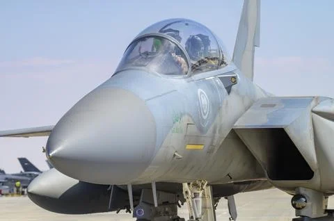 AnatolianEagle2025 Stock Photos