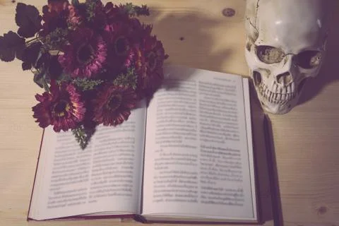 Anatomical book Stock Photos