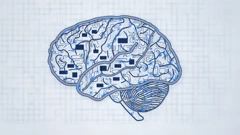 Anatomical Brain Blue Trace Network White Loop 動画素材 343256315