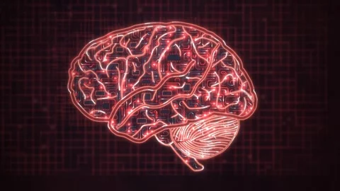 Anatomical Brain Red Circuit Trace Network Loop 動画素材 343510621