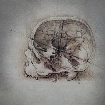 Anatomical drawing by Leonardo da Vinci depicting human skull in sagittal s.. Stock Photos