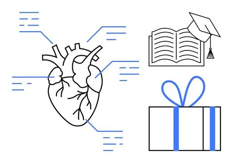 Anatomical heart with data points, open book with graduation cap, wrapped gif Stock Illustration