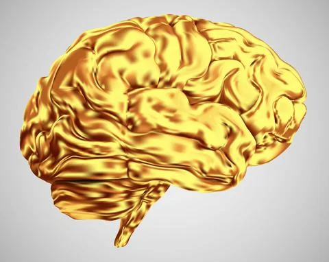 Anatomical human brain, mesh vector, scientific article design and medical bo Stock Illustration