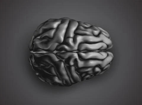 Anatomical human brain, mesh vector, scientific article design and medical bo イラスト素材