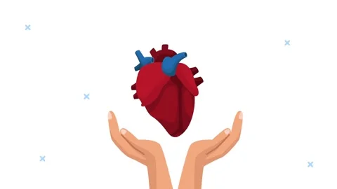 Anatomical human heart floating above cupped hands in dynamic motion graphi.. Stock Footage 333719244